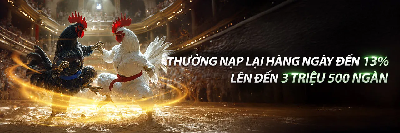 Sân đấu đá gà trực tuyến sb88